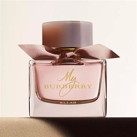 best burberry womens perfume|what does Burberry smell like.